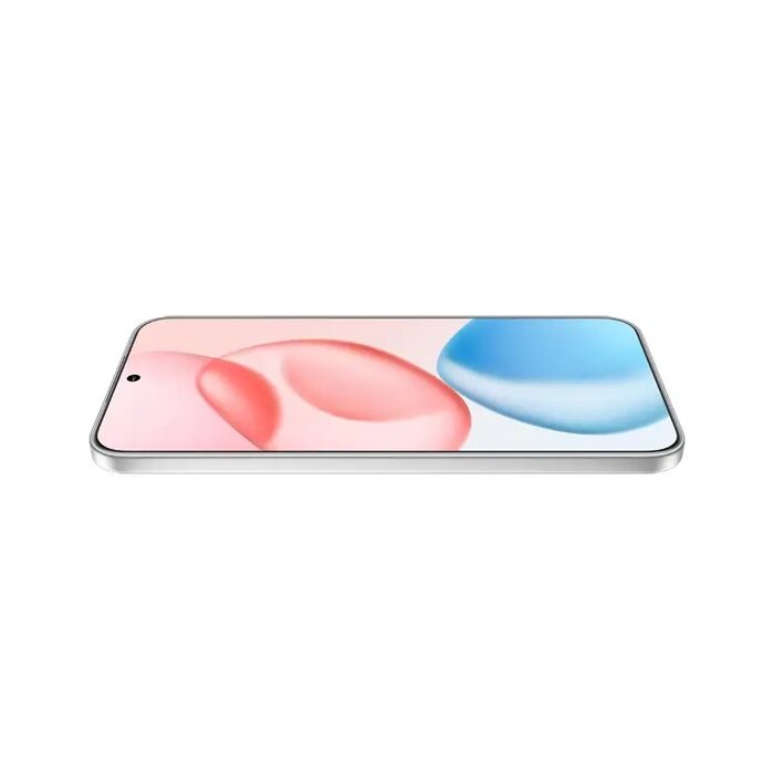 256GB Dual Sim Silver