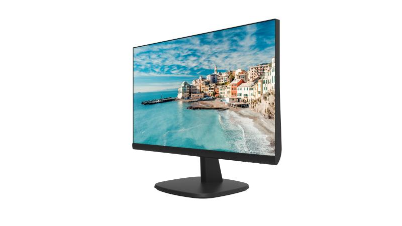 მონიტორი,Hikvision, DS-D5024FN, 23.8